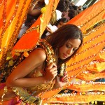 Taxi Transfer to Notting Hill Carnival